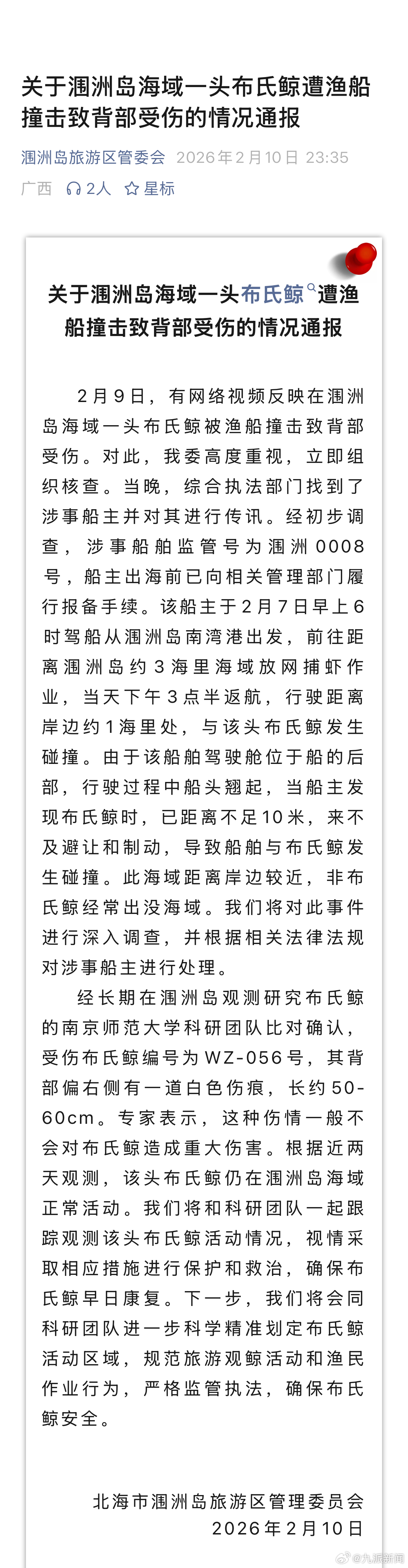 【#官方通报涠洲岛鲸鱼遭渔船撞击#：】2月10日，北海市涠洲岛旅游区管理委员会发