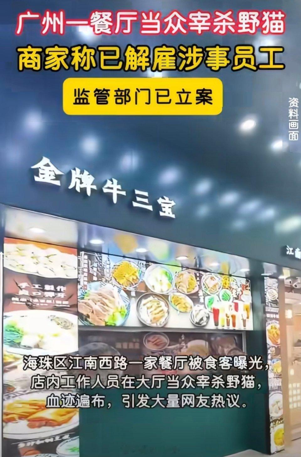 广州一餐厅当众宰杀野猫被立案广州一餐厅被曝大厅当众宰杀野猫，血迹遍地，食客惊愕离