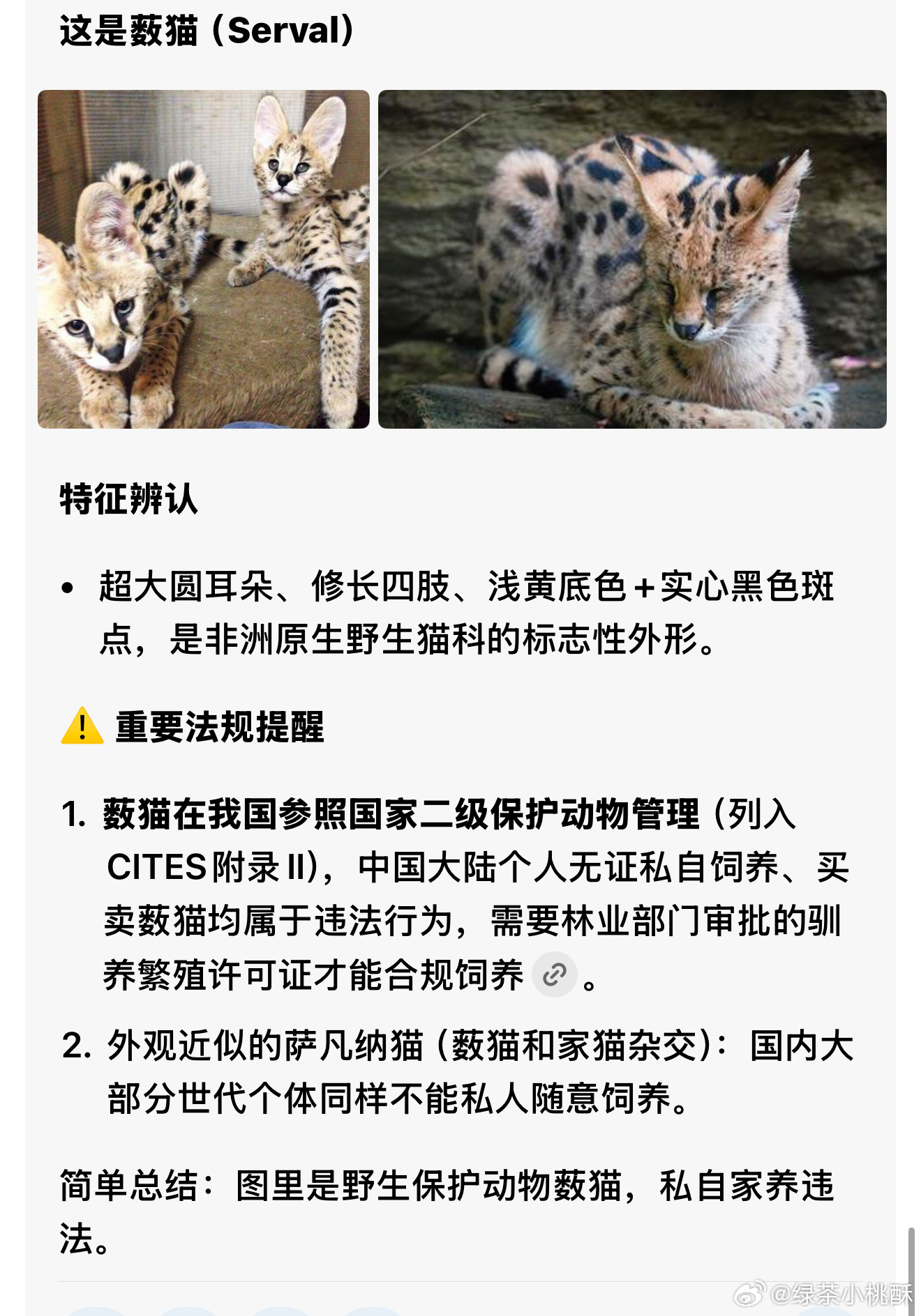 窦靖童紧张到喊妈妈救命窦靖童从出生起就一直备受瞩目。有网友扒出窦靖童以前发在社交