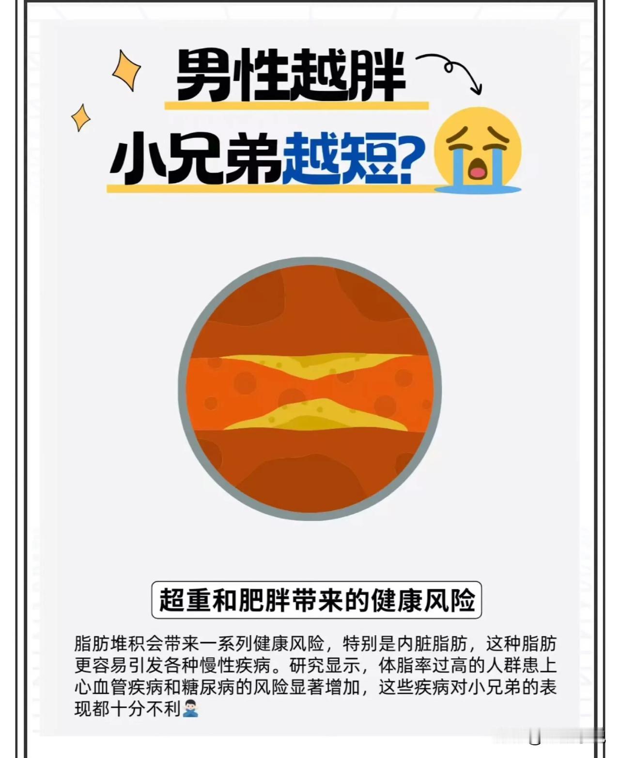 男性越胖，小兄弟越短？