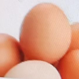 55岁后吃鸡蛋，专家给出的四个观点可得留意。首先，别过量吃。虽说鸡蛋营养丰富，富