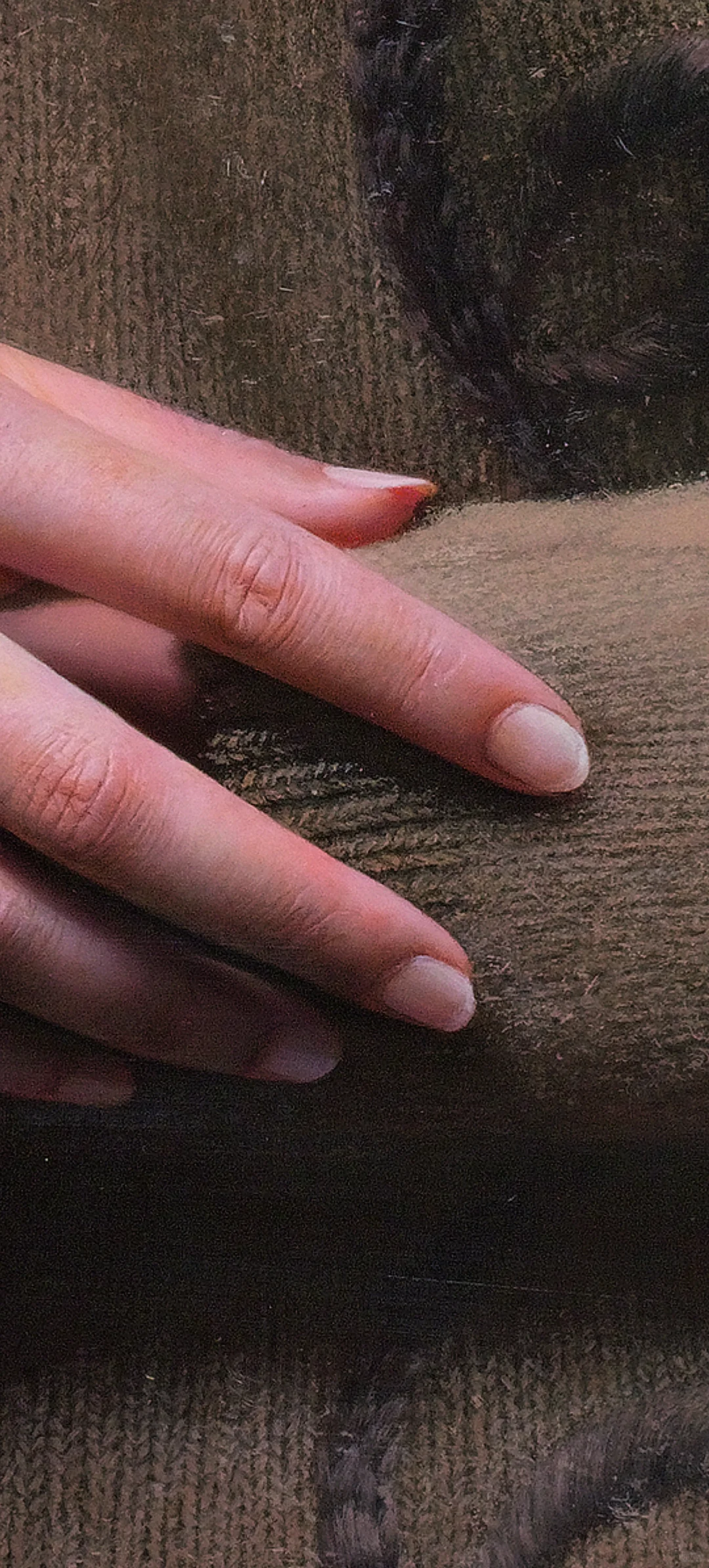 冷军超写实《蒙娜丽莎》，直接用相机多好？