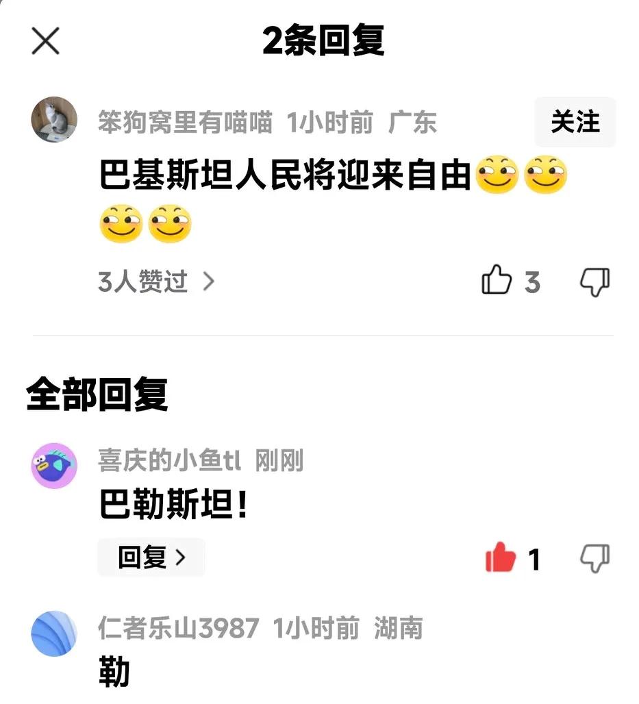 一哈粉说：哈马斯交出权利巴基斯坦人民将迎来自由[奸笑][奸笑][奸笑][奸笑]