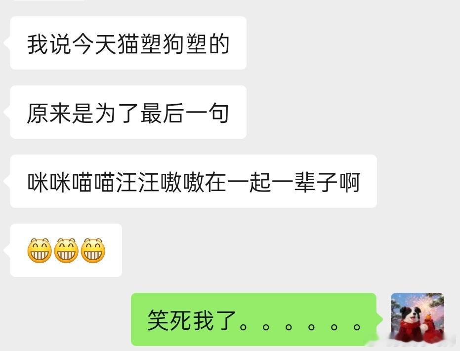 见不丝这两个人啊真的受不了了哎再次证明最支持我们碗盆猫狗教的就是碗盆本人 