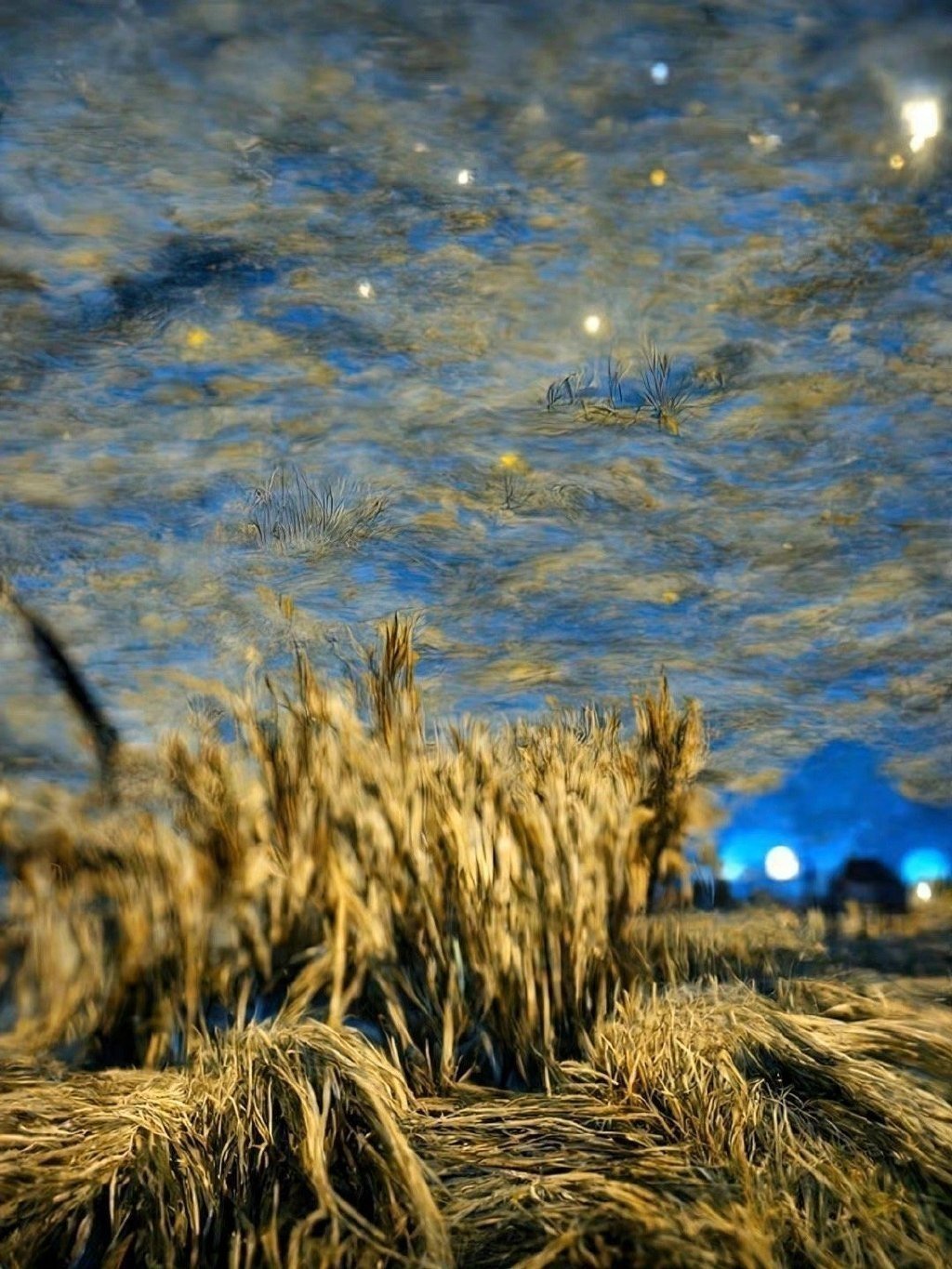 今年你的事业爱情大丰收 