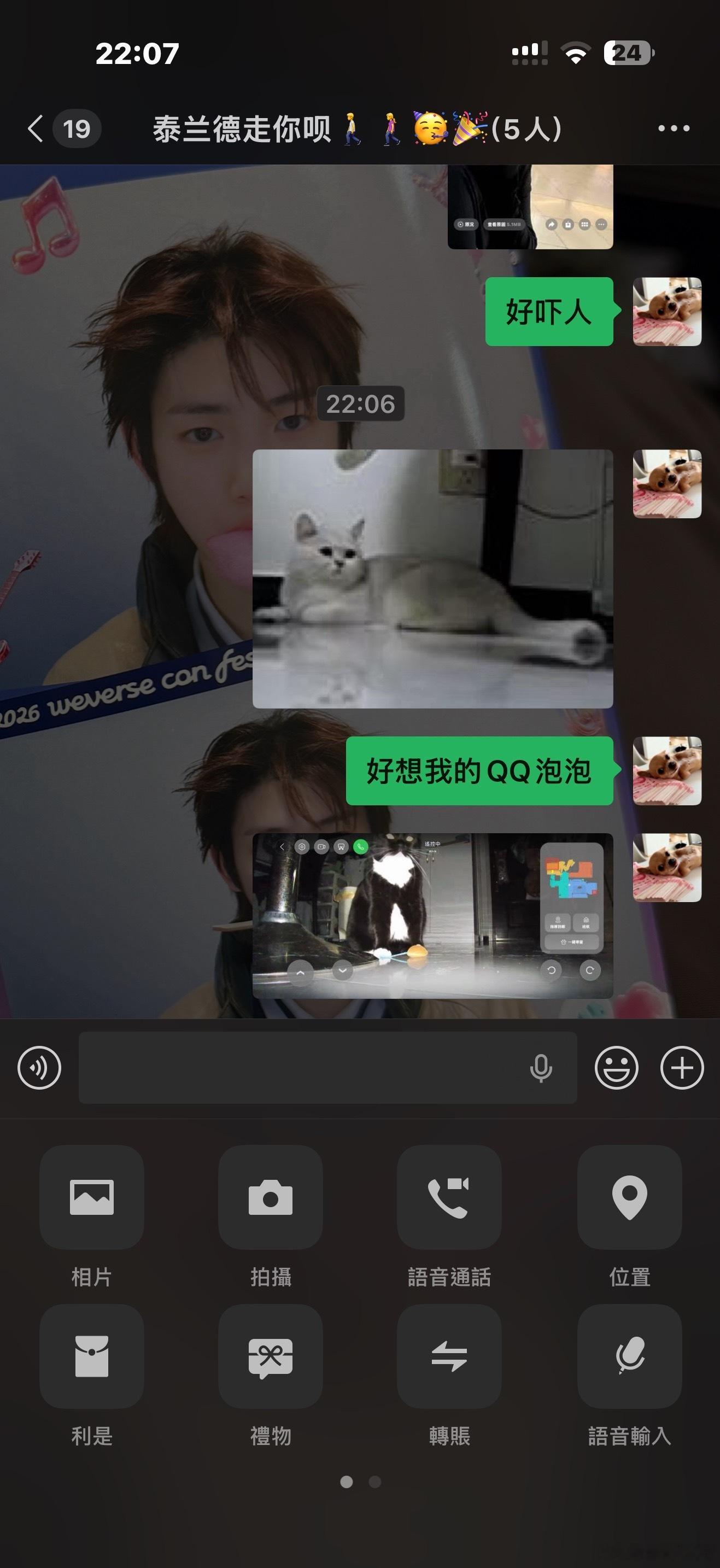 我每天看监控都想哭，能让我愿意回去的只有我的两只猫