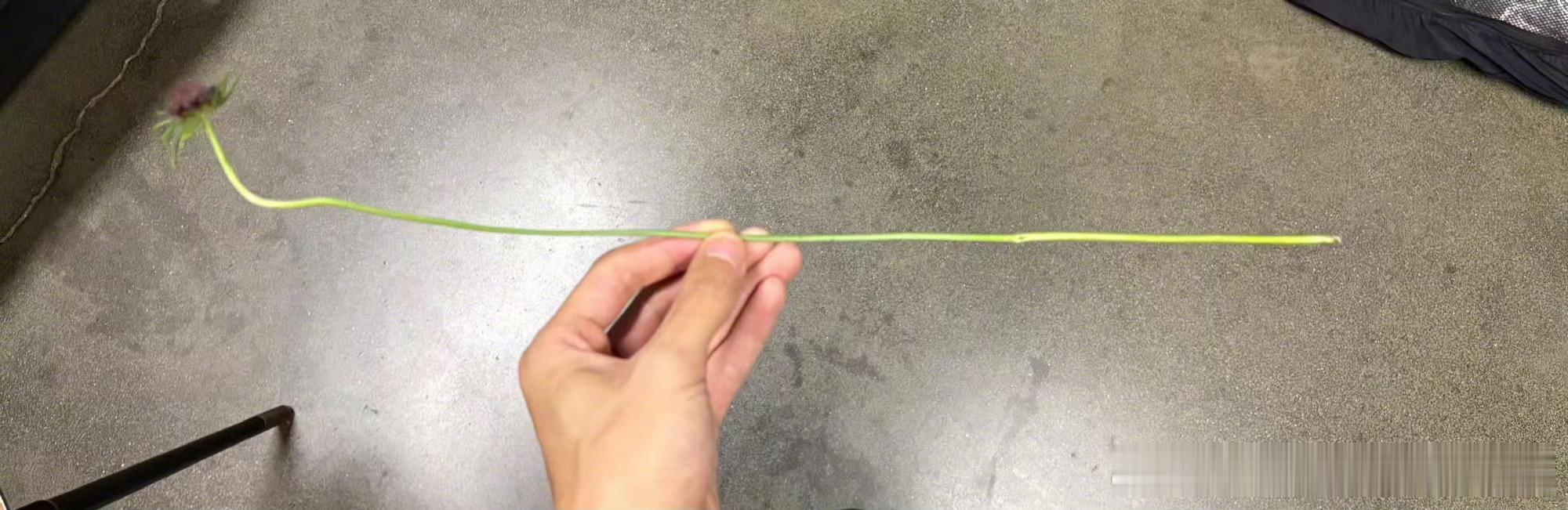 还以为易烊千玺做美甲了易烊千玺纯手搓哈哈哈 还是很好看的 你认为呢？ 