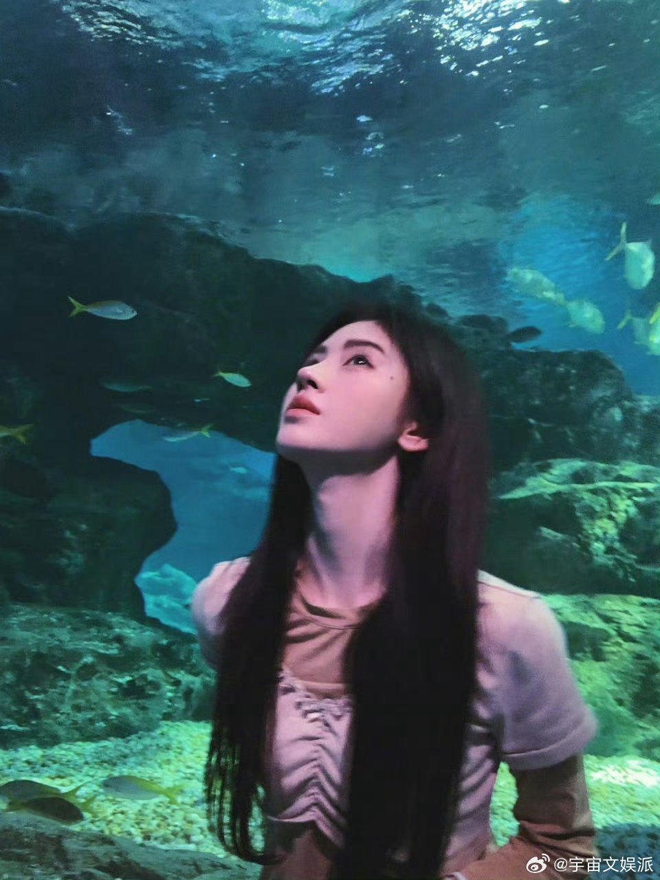 丝芭传媒辟谣丝芭传媒回应鞠婧祎纠纷和解 针对“丝芭大和解”等不实信息，丝芭严正声