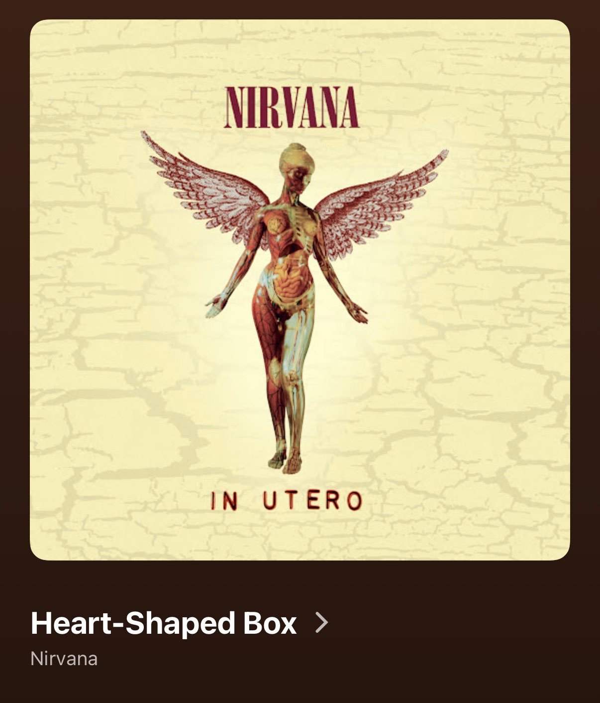 260630 Apple music 播放列表曲：激动人心的夏日训训的夏日歌曲推