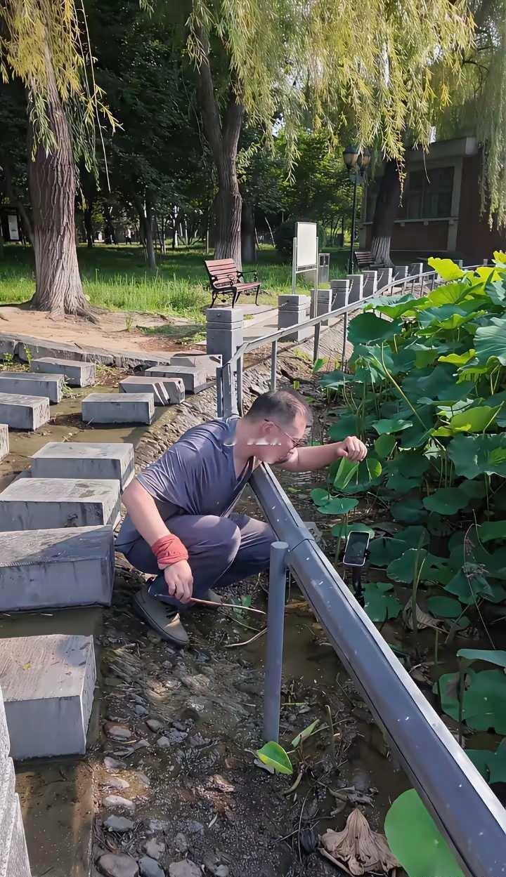 如果不是亲眼所见，我是万万不敢相信。 