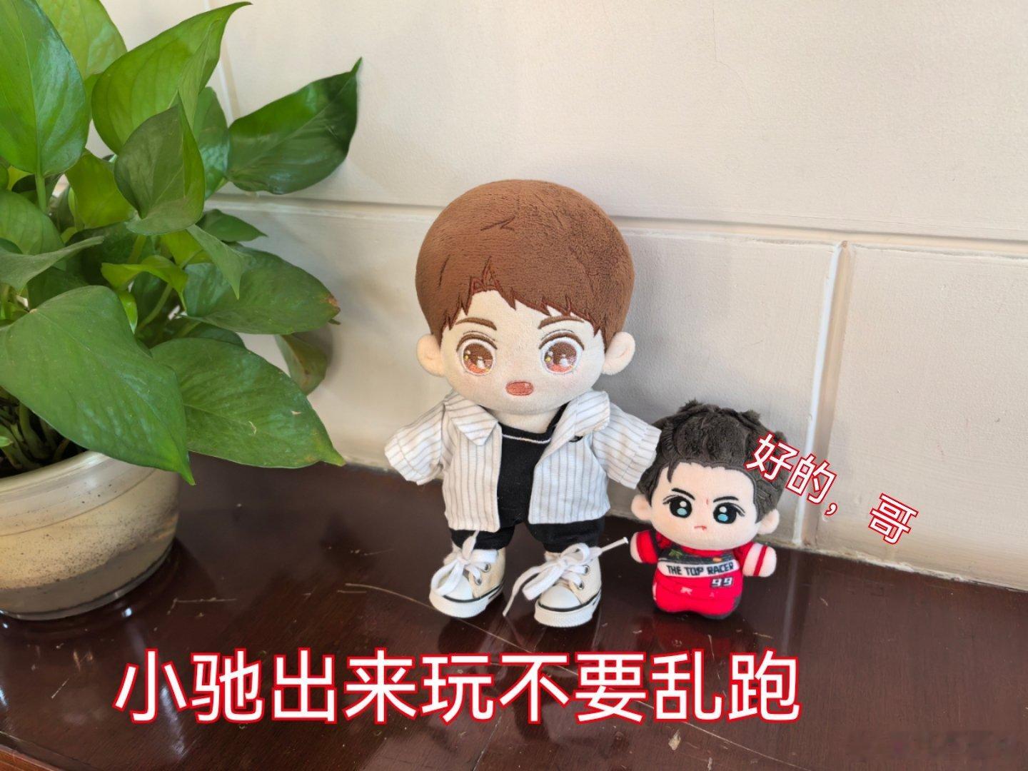 黄小鱼带弟游记。 ​​​