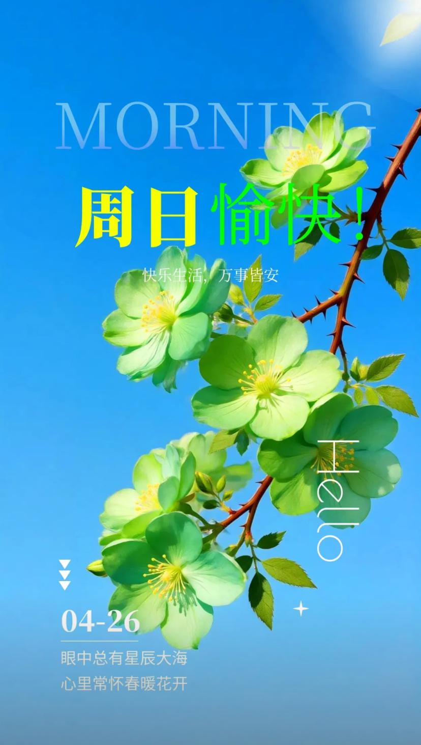 春晨问安，初夏清宁承安暖，朝夕顺遂伴福宁。
2026./04.26.
[微风][