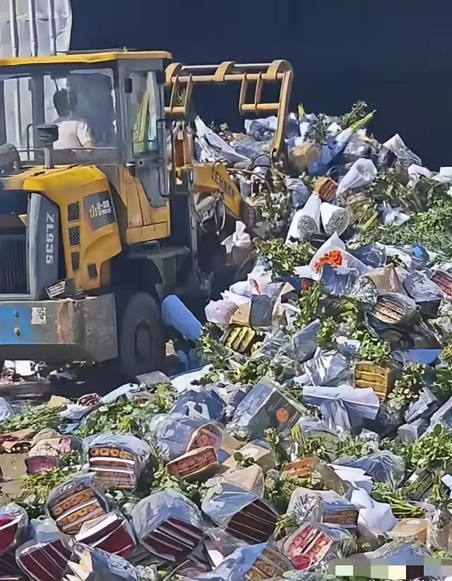 宁愿销毁也不愿降价出售，真是浪费，就不能留给别人吗 