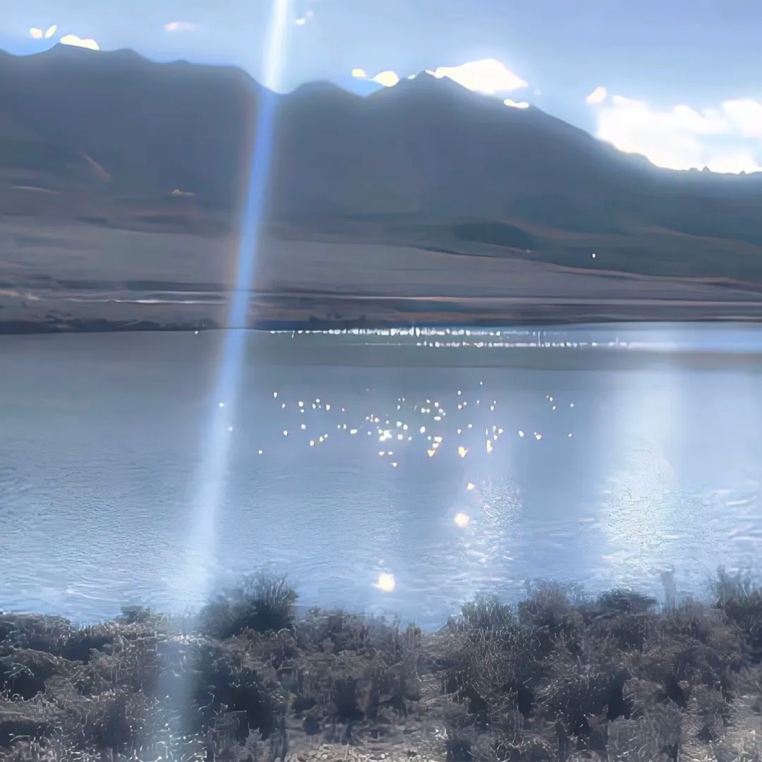 𝙎𝙝𝙖𝙧𝙚丨头像+背景图°★你如初见时那般明媚☆.女生头像〡审美积累〡