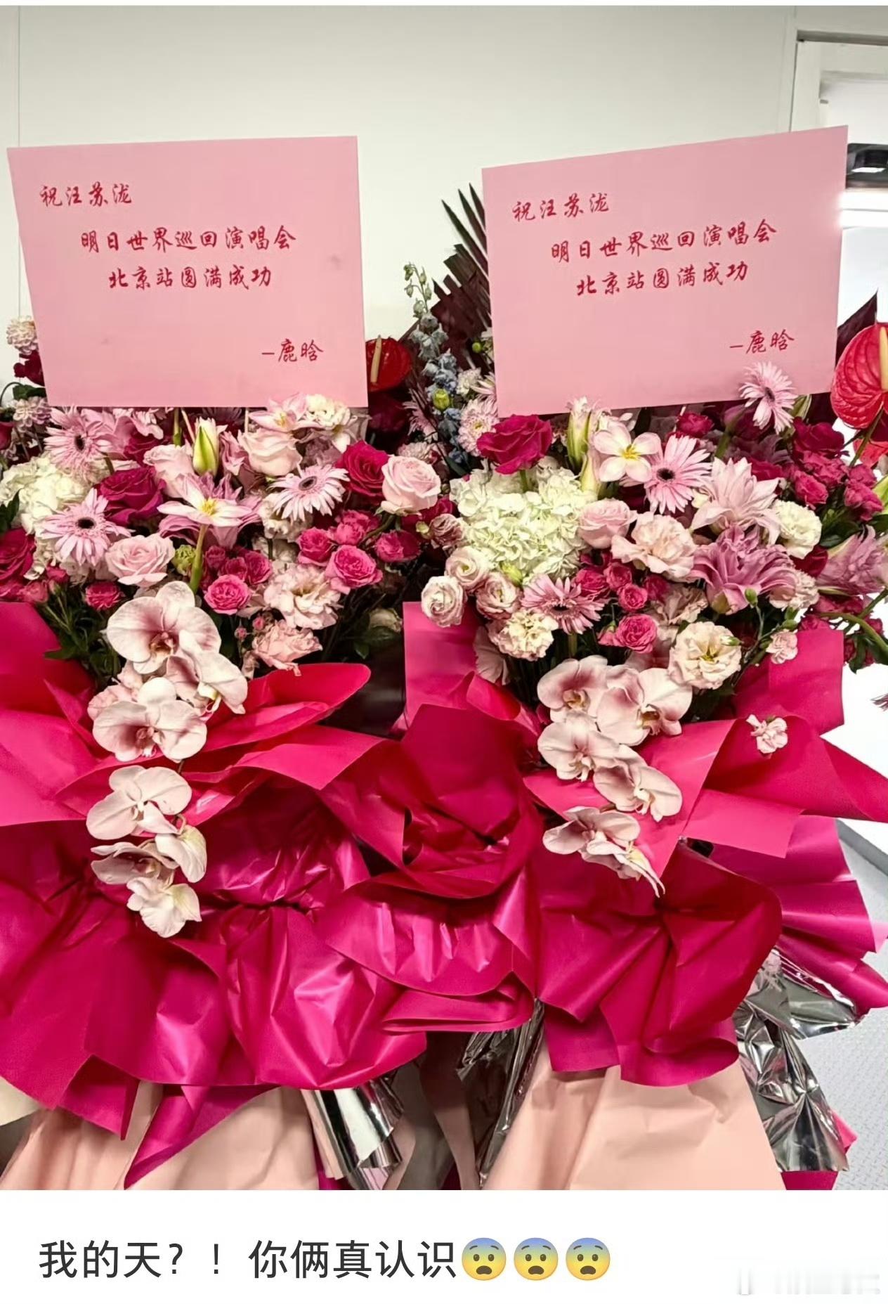 鹿晗给汪苏泷送花篮了 2026年8月15日，汪苏泷“明日世界”巡回演唱会北京鸟巢