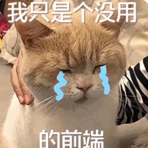 AI创意超过人类的一集Image 2.0 的理解能力强得有点离谱了哈哈。 