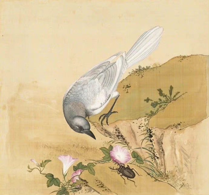 “今天飞花令｜主题【越、鸟】古诗词    ”.休垂绝徼千行泪，共泛清湘一叶舟。今