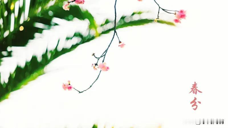 卜算子·问春
    符进朝
欲问东君意，
何事太匆匆。
桃李残红飞尽处，
柳色
