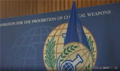 中国四点倡议引爆禁化武组织大会，多国代表积极响应推动全球治理变革

荷兰海牙会场