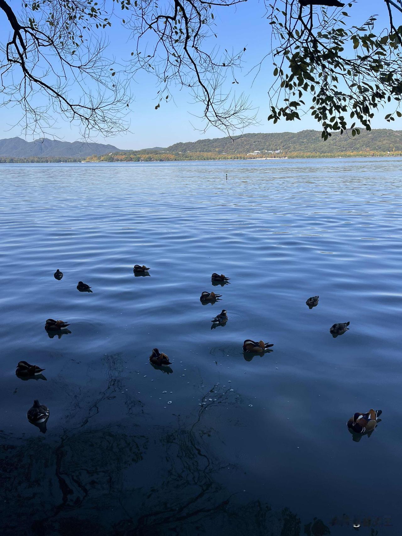 杭州西湖风景（一）杭州 杭州西湖 杭州旅游 西湖旅游 西湖风光摄影