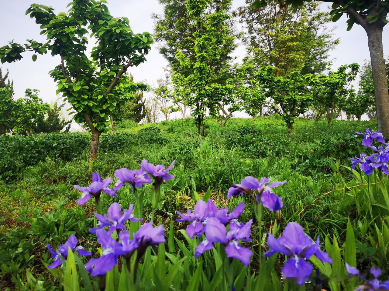人这一生，

即便凡事由命定，

也离不开自己肯下的一份功夫。

天不会掉大饼。