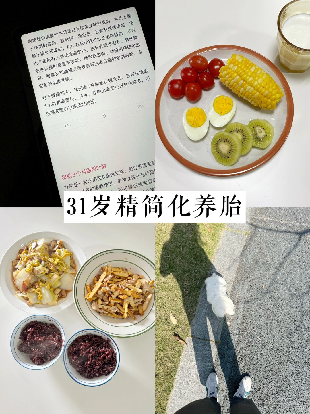 孕六周，开始精简化学习型养胎之旅