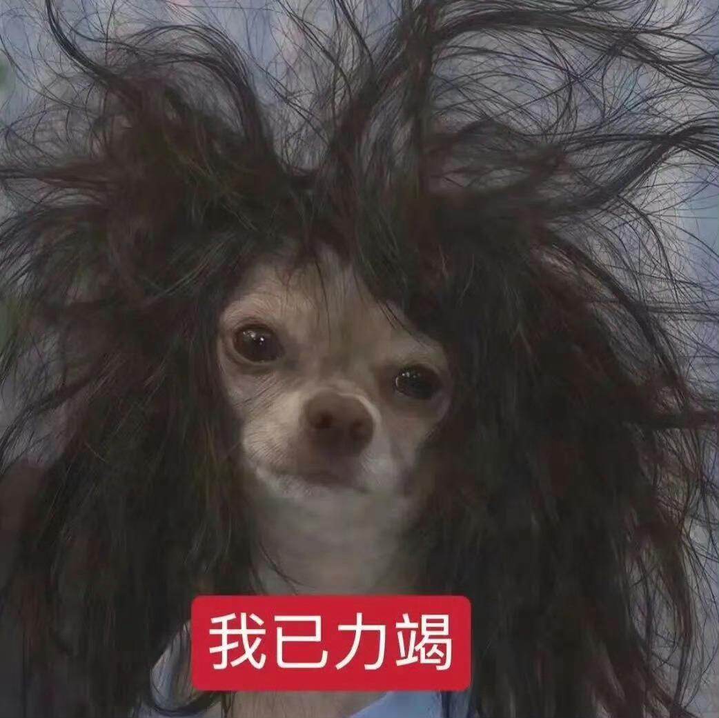这两天隔壁出了一件很吓人的事。
.
有一位女士，很爽快，只用10多分钟，就在成都
