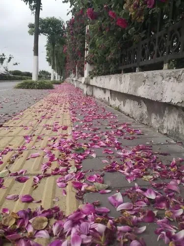 没有夫妻生活会让子宫萎缩，卵巢早衰吗？ 答案：假的！ 首先，我们要明白...