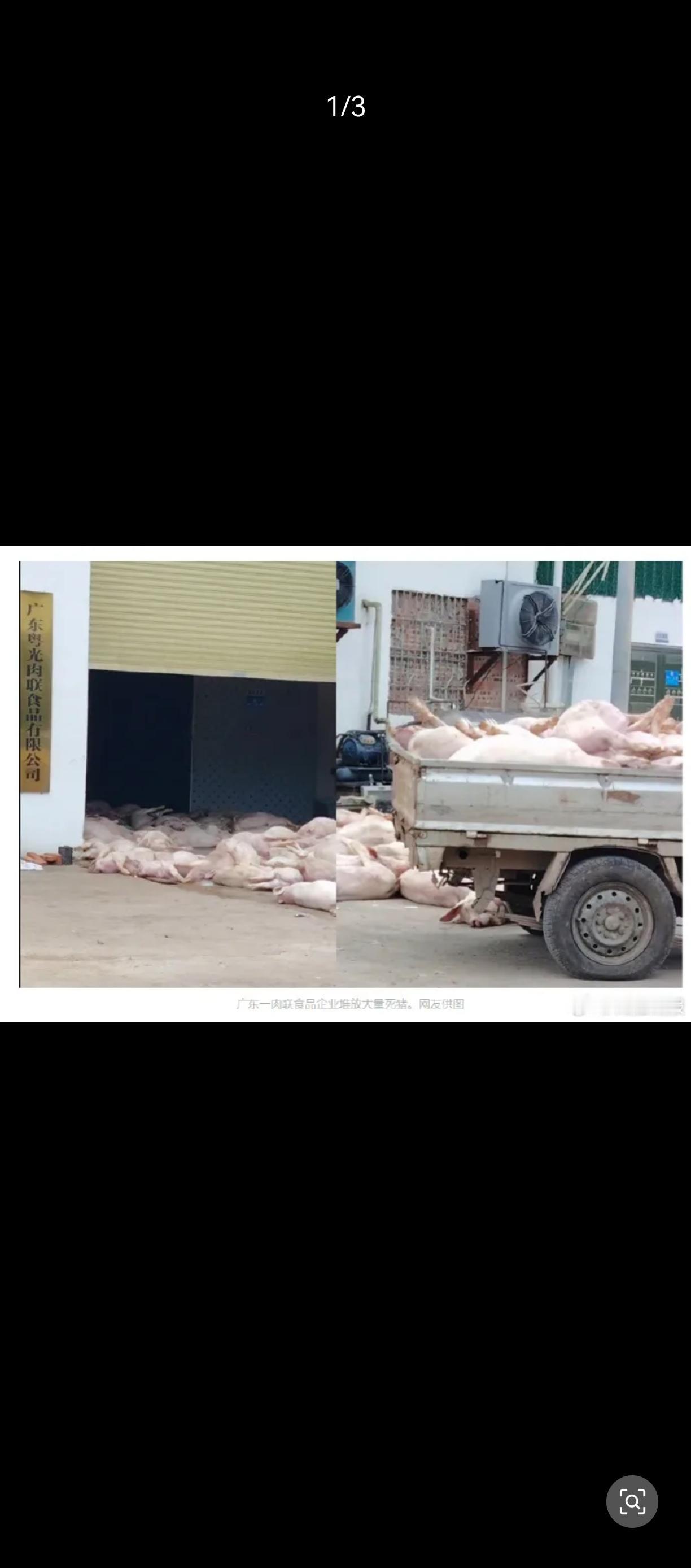 千万不要去买非品牌肉制品！
大量死猪肉，
就这样被加工[祈祷][祈祷][祈祷][