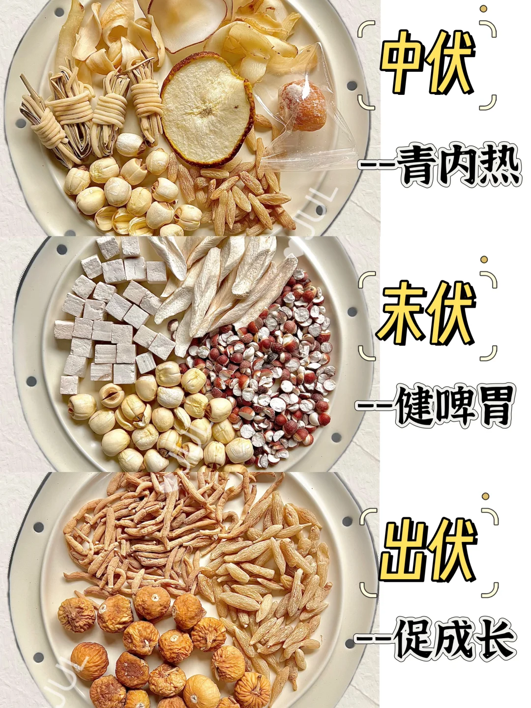 🌞🌞三伏天养生计划--调理宝宝啤胃