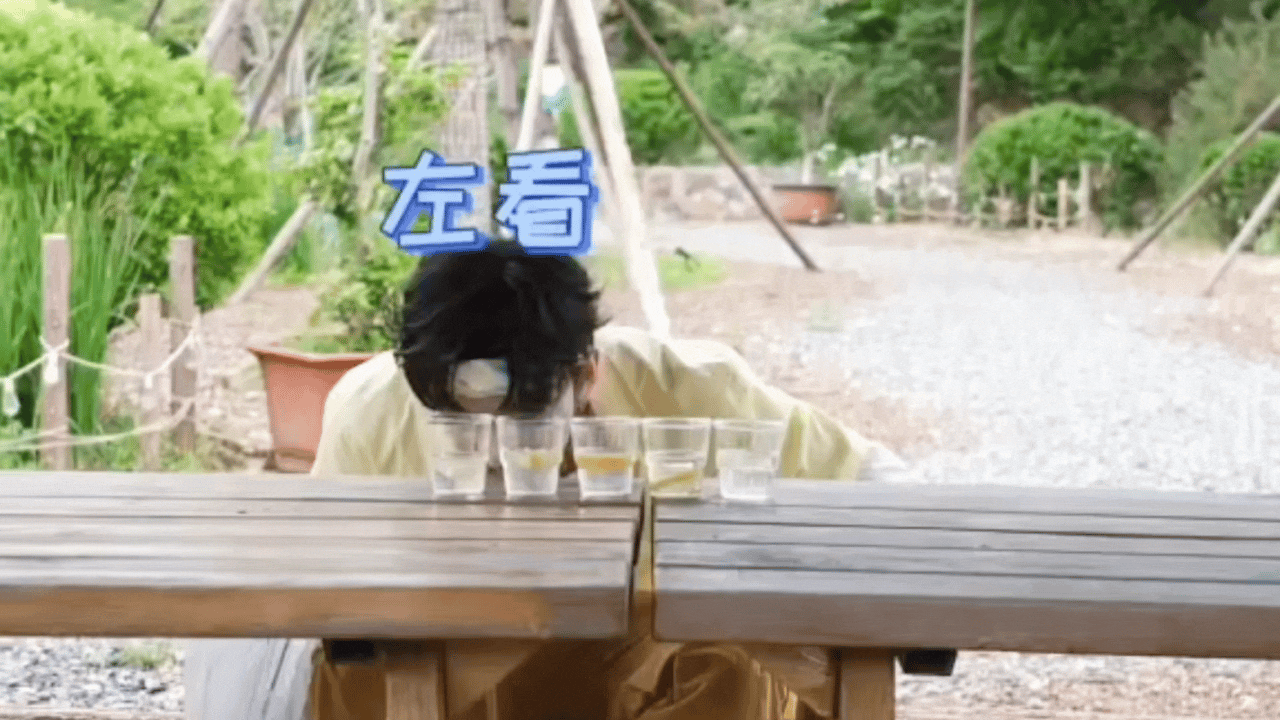 小咪观察👀左航一路向海的少年