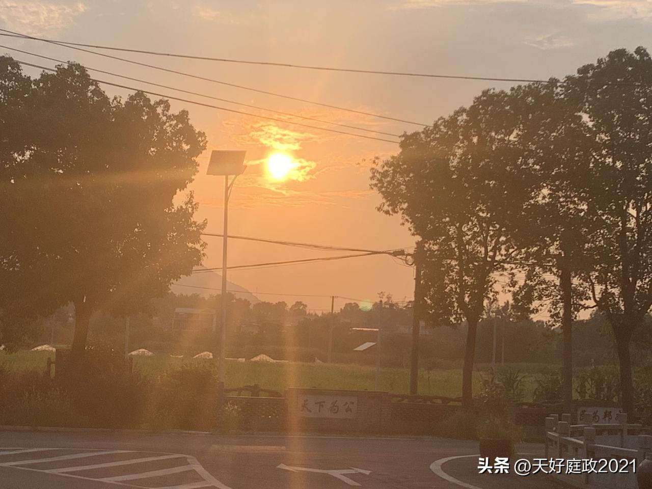 盛夏闲暇时光，除了纳凉赏景，我最爱在棋盘前静心钻研象棋，把日常思索与棋理感悟当作