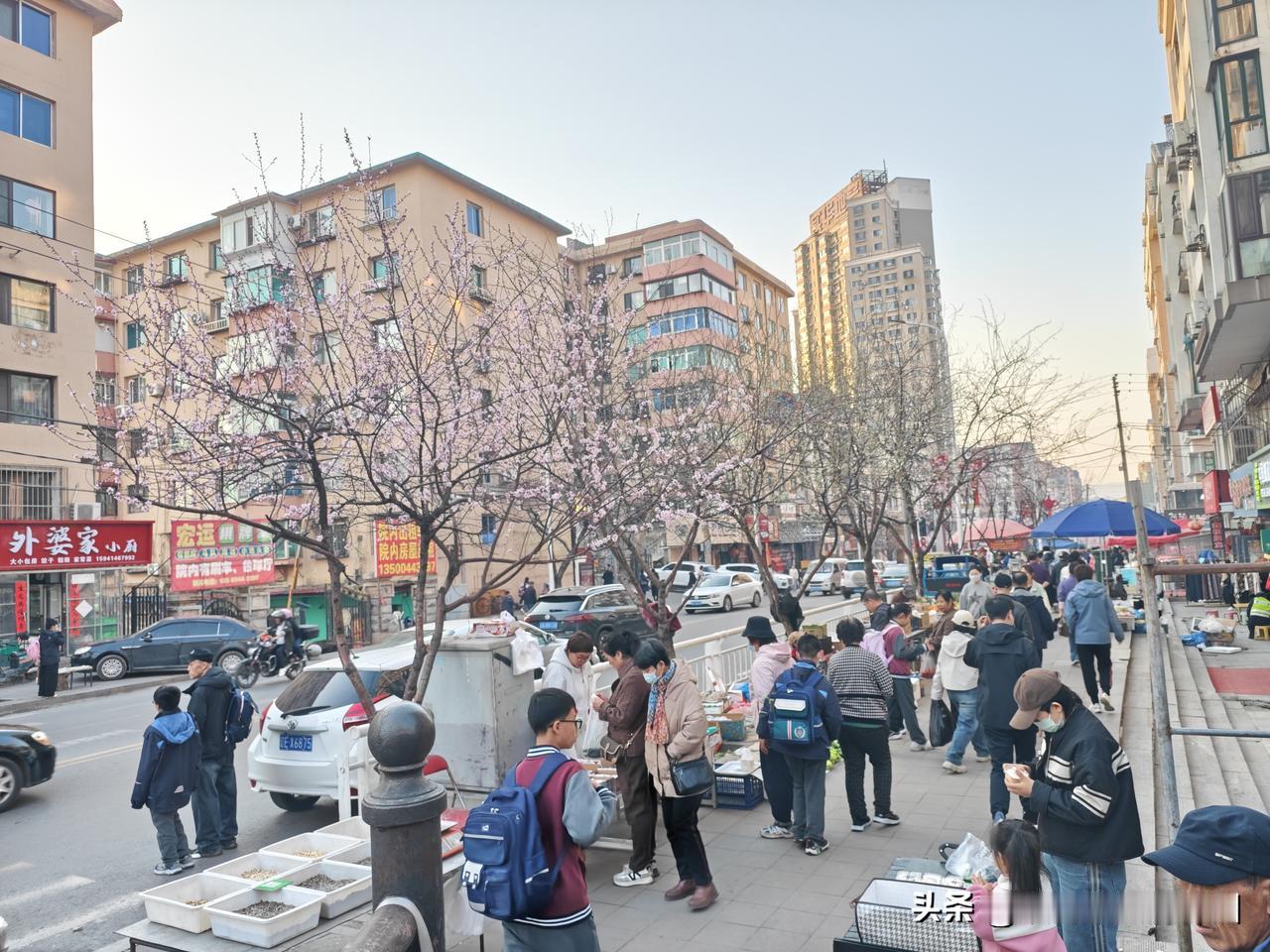 脑补一下，100年后春风吹拂下的我大本溪，城市面貌与今天相比，将会发生怎样的沧桑
