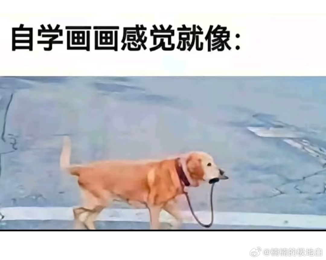 画的比长的还像照片🎨每一处明暗过渡自然柔和，连细微毛孔都清晰呈现，写实功底实在