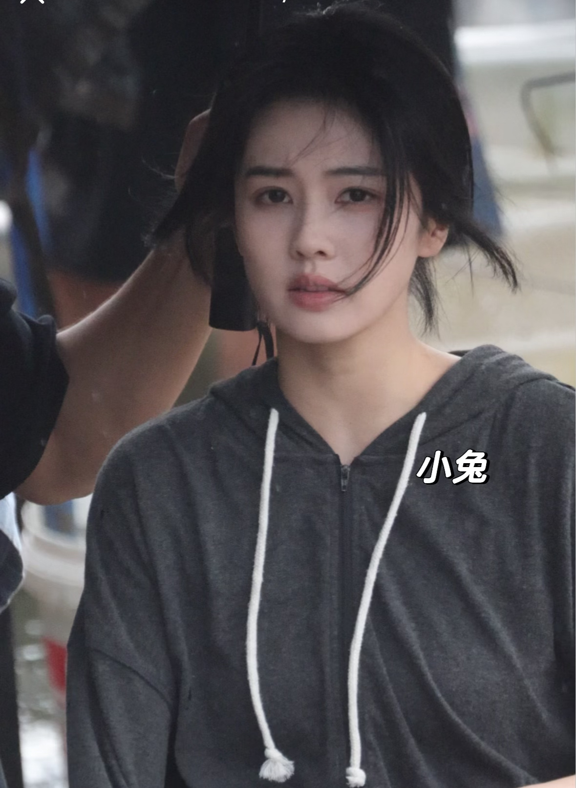 白鹿回复猫的树这对视  破碎感🥺 