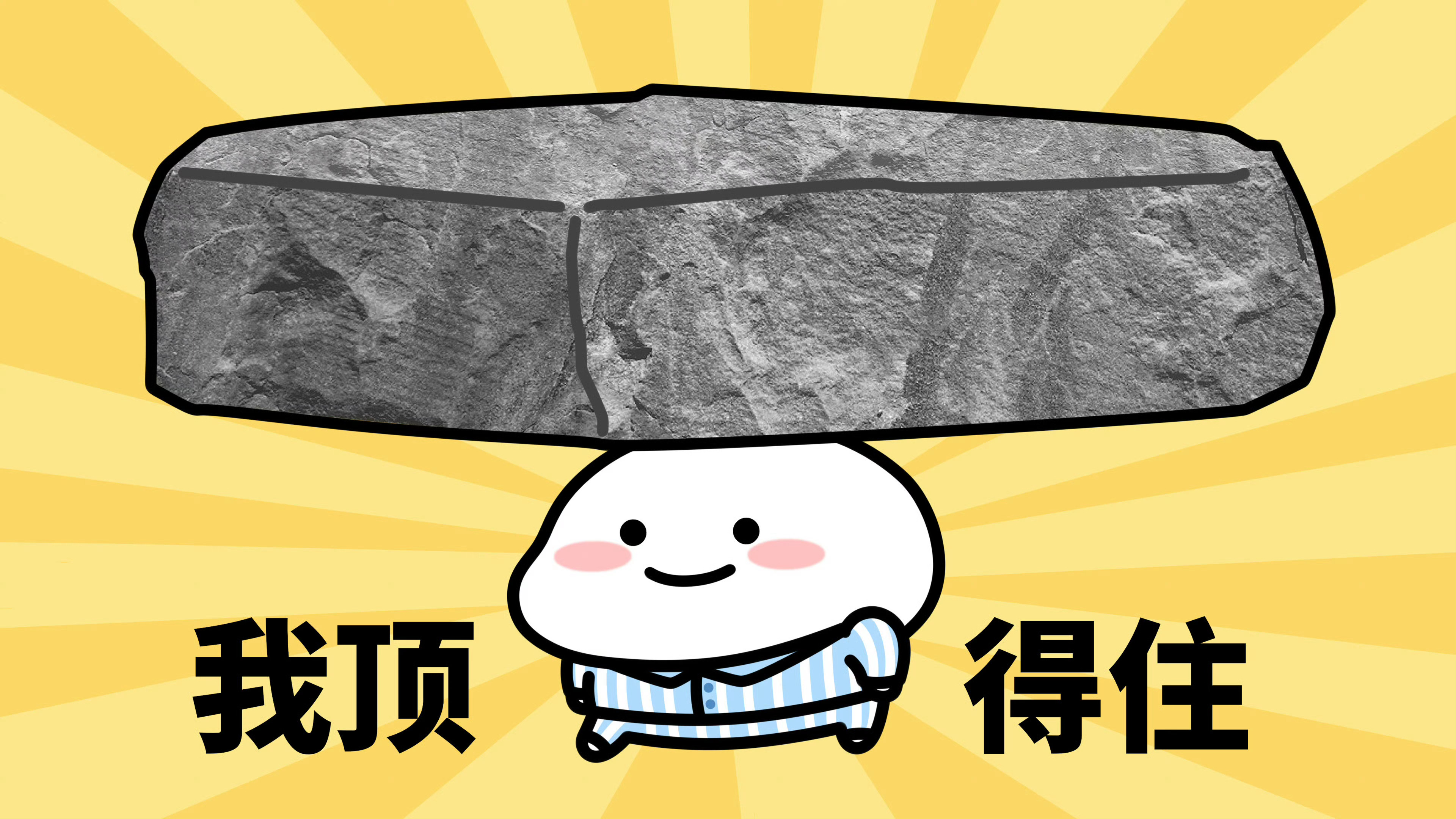 后台收到了大家一波又一波的热情催货说实话，我们真的没有丝毫怠慢，工厂那边基本是“