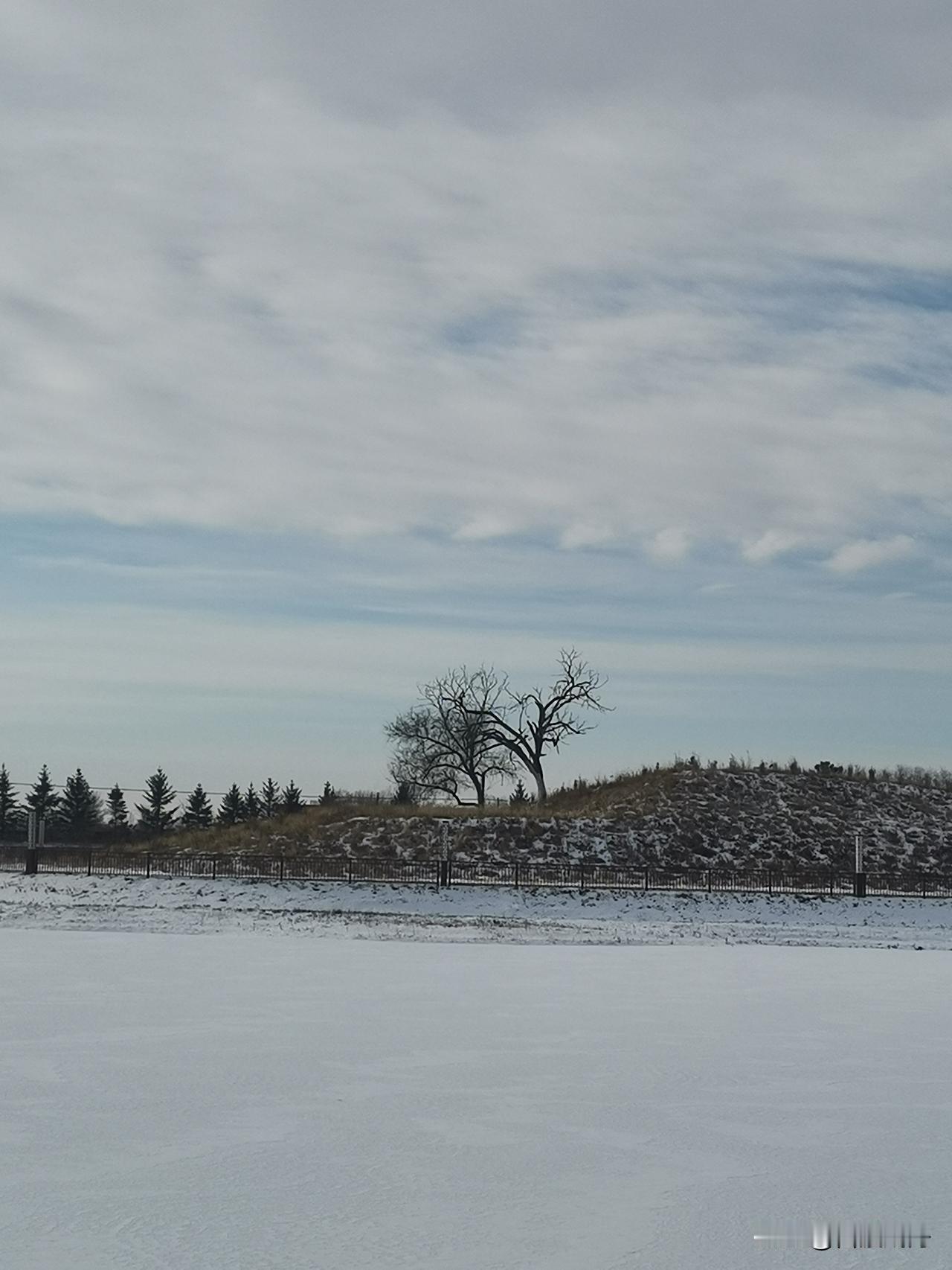 昨天金价又炸了！创历史新高，买金的都笑疯了！
 
昨天最让人揪心又眼红的，必须是