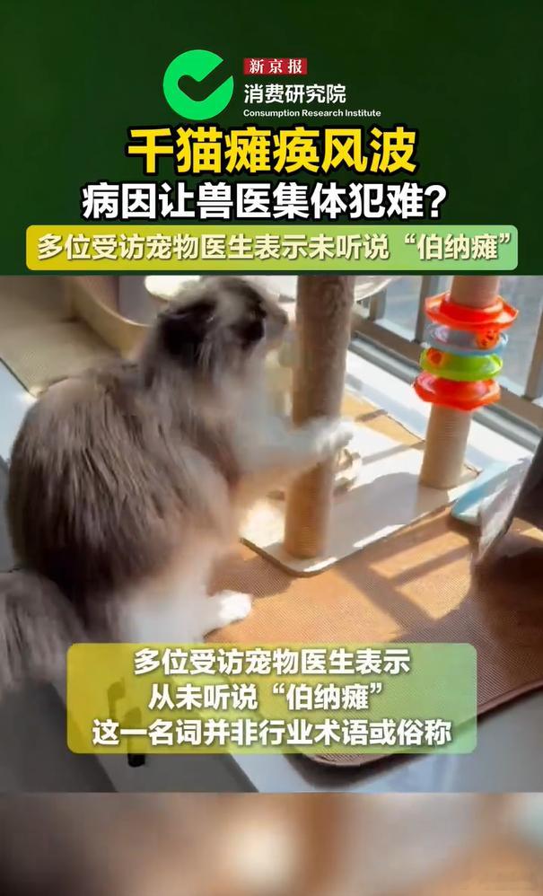 看着猫咪拖着后腿走路真的心疼！全套体检、专项检查全部做完，花费不菲，最后却没有任