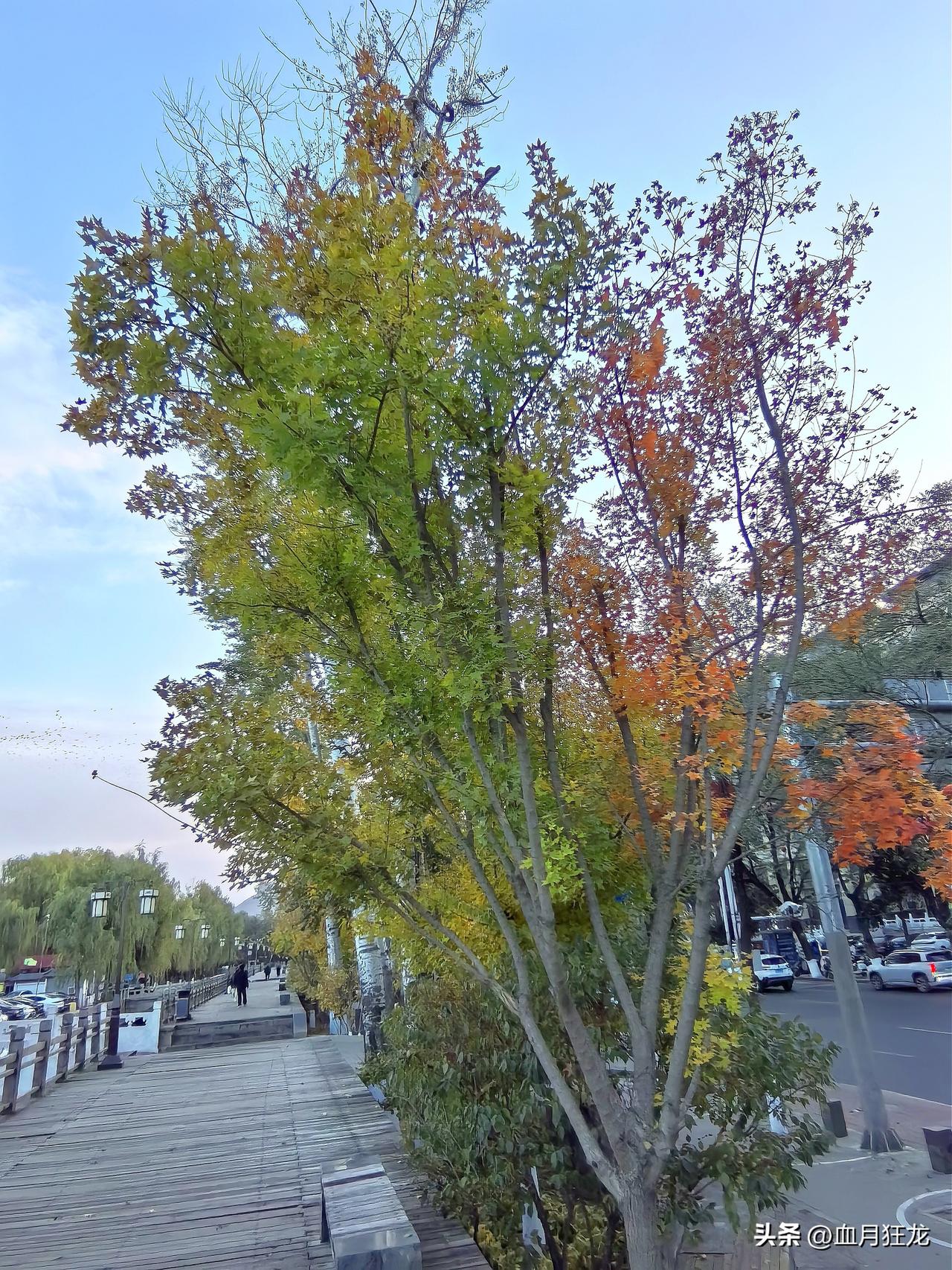 欧洲有大动作了，他们开了一个会议，决定对小乌提供能源援助！

根据一些消息来看，