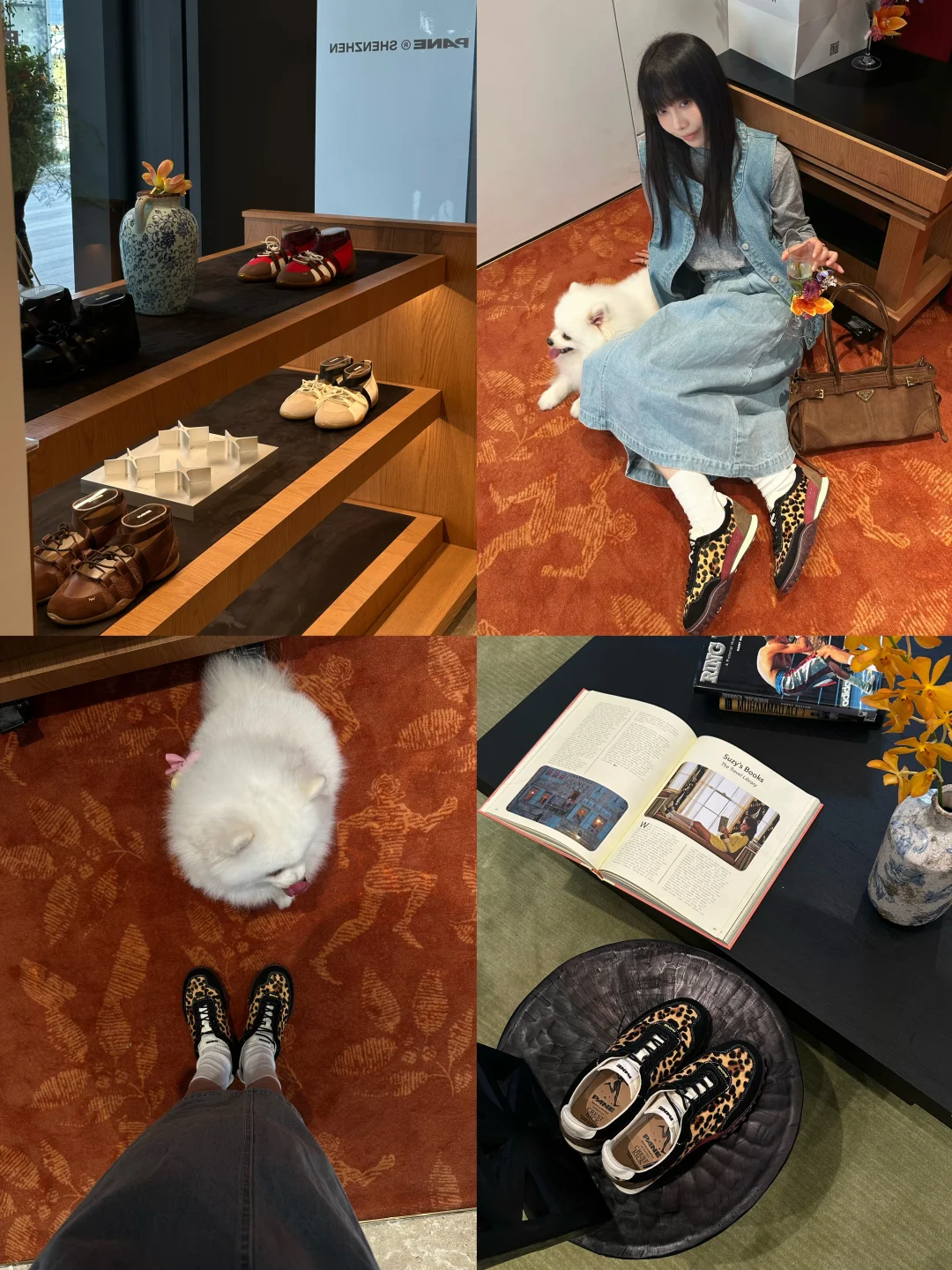 深圳新店PANE带小狗来逛街～好多新款👟