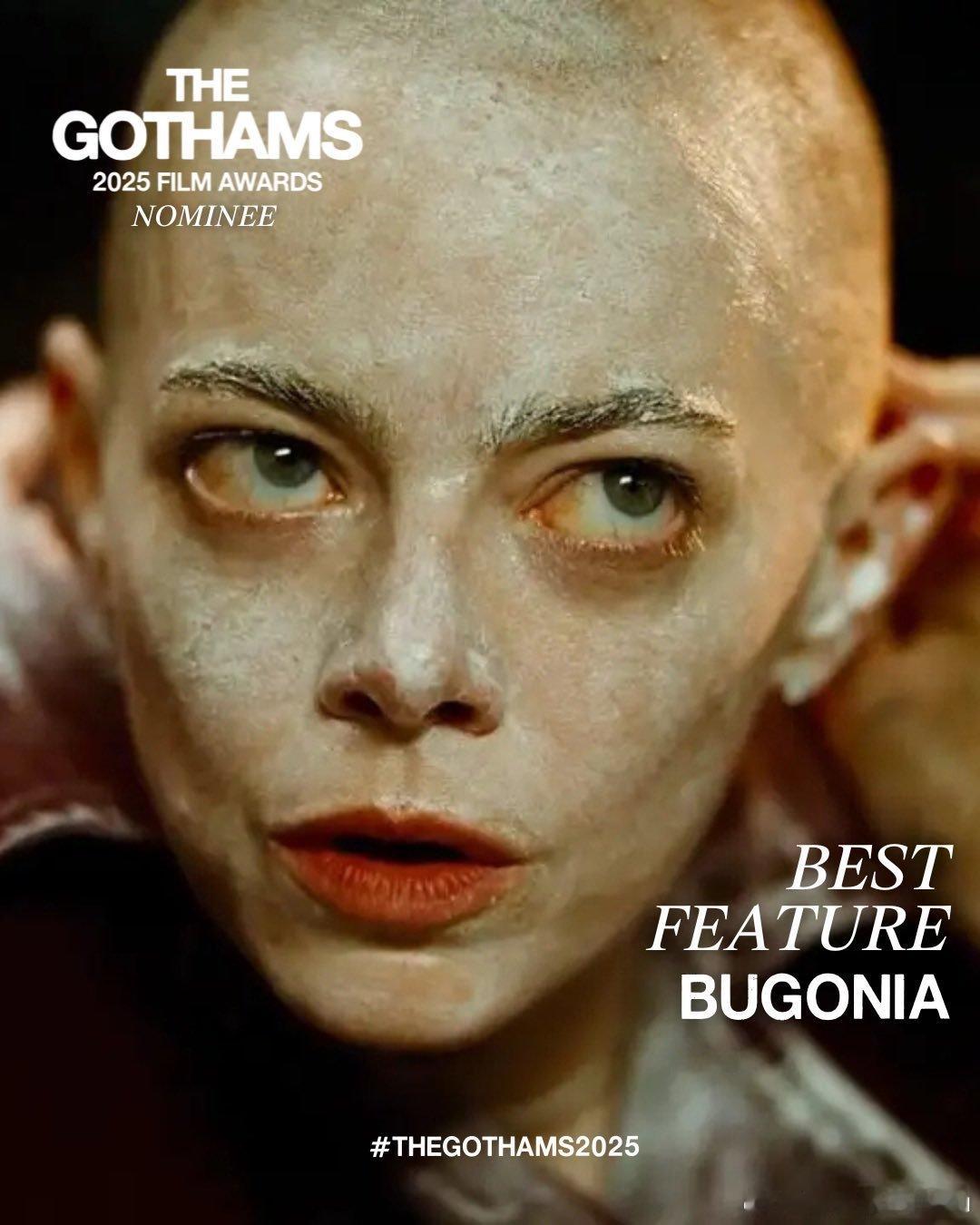 美国哥谭奖公布提名，《一战再战》6项提名领跑，《狂野时代》提名国际影片。《一战再