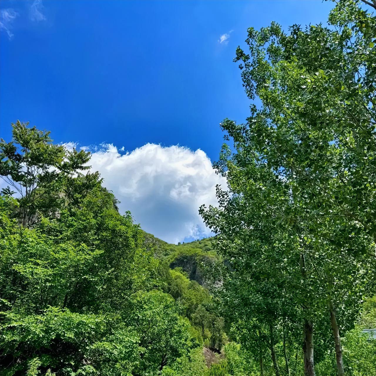 人到中年，偏爱寺庙：不求圆满，只求半称心，年少时，始终不懂一个奇怪的现象：为什么