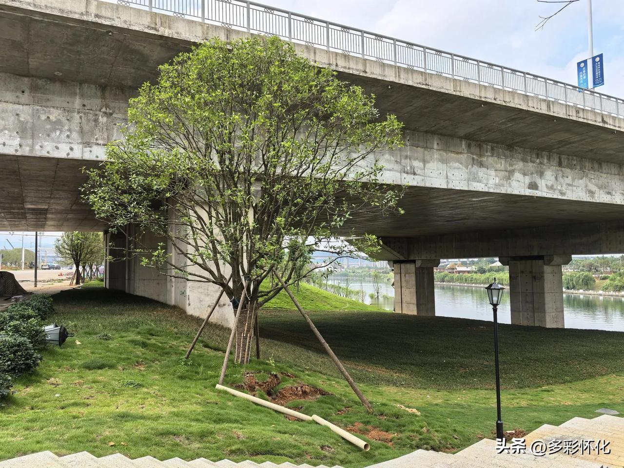 城市主干道大桥下面的空地，大家来讨论一下，做什么用途最佳？①做会共绿地，便于市民