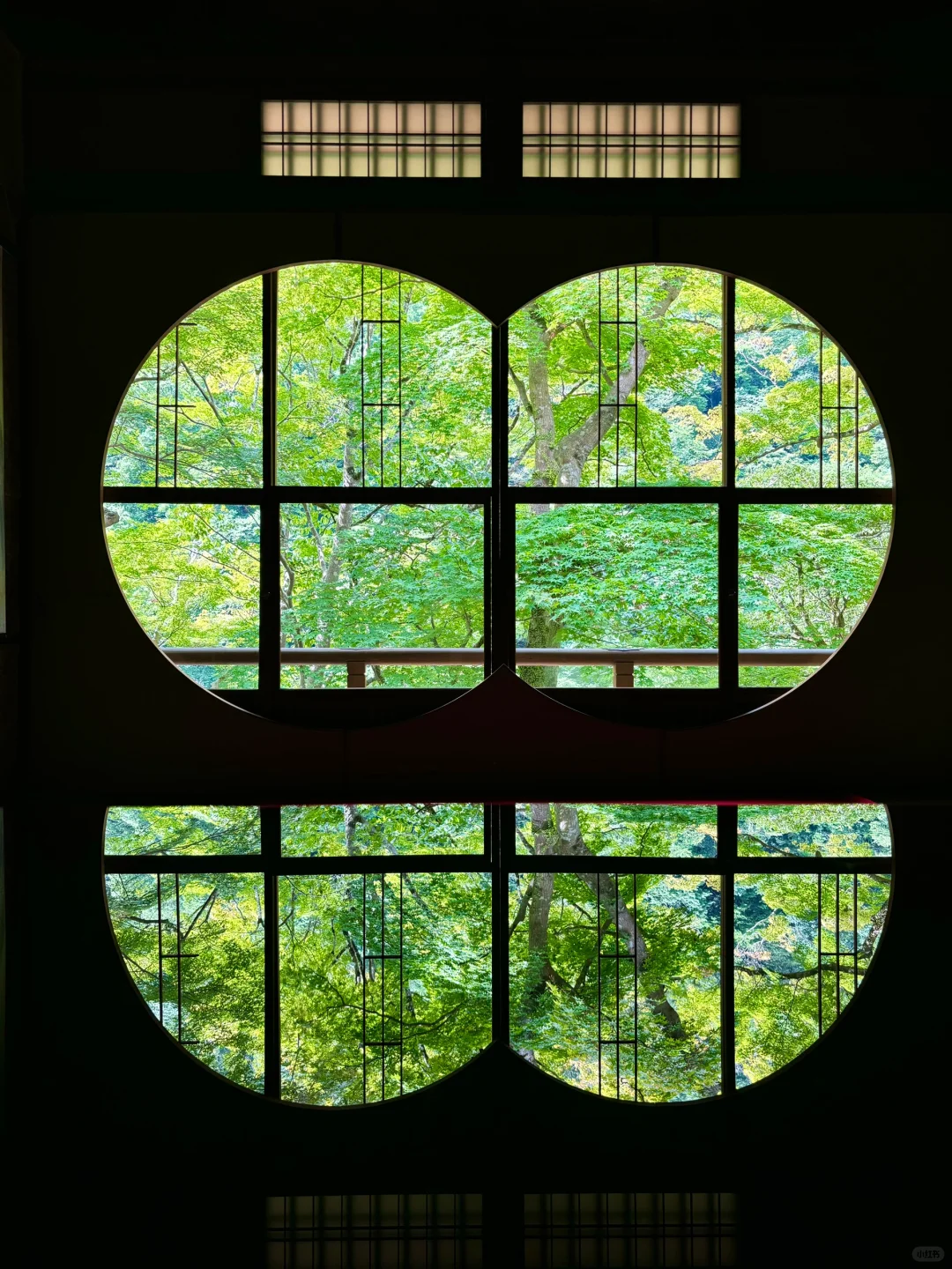 京都｜𧙗斋亭的夏绿真的是看不腻🍃