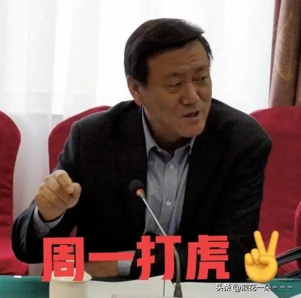 就在刚刚，
看了“界面快讯”新闻，“张秀成”被查，于是看了一下他的工作履历，由于