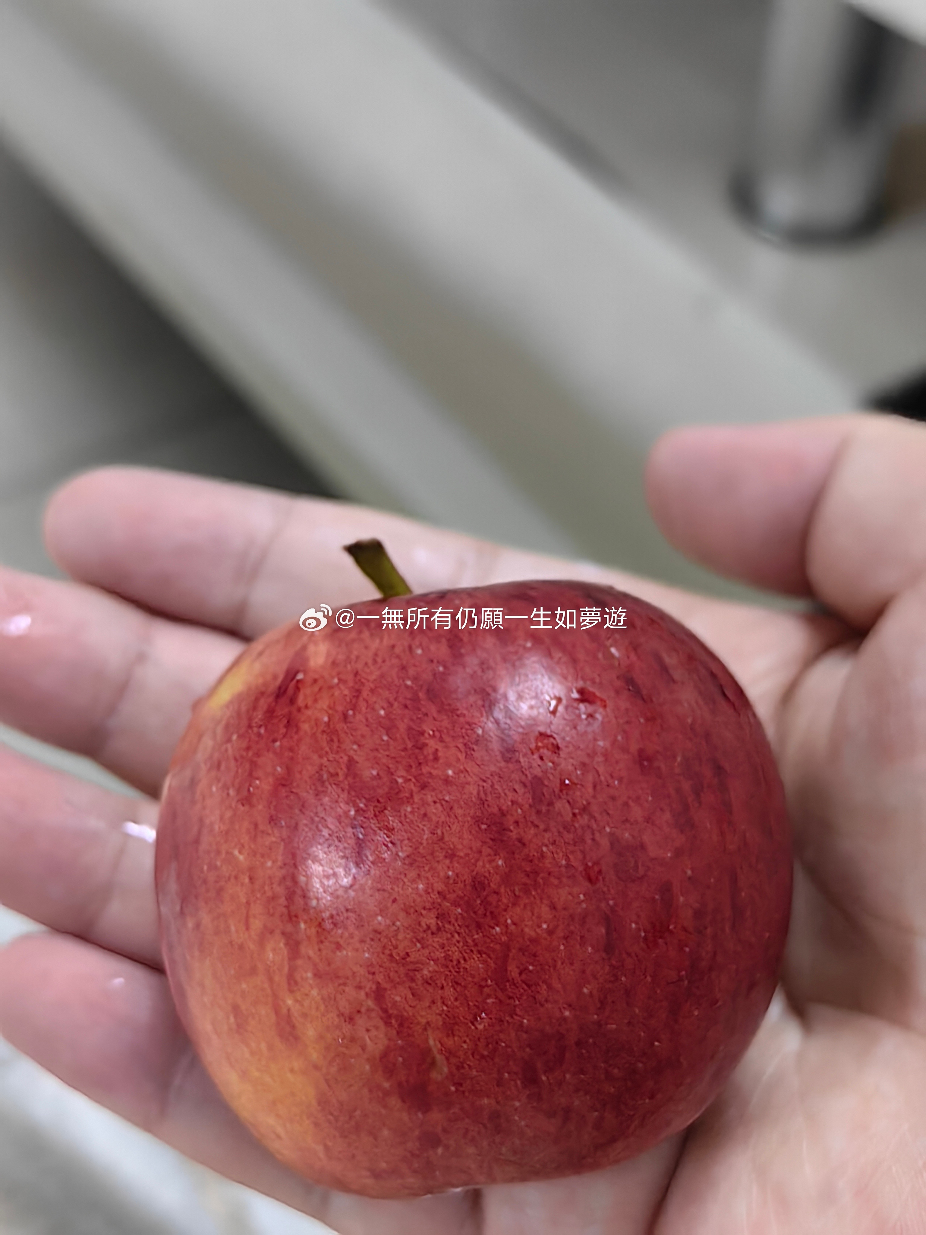上周末在奥乐齐买了一袋小苹果 特别便宜均价一块一个吧 酸酸甜甜的可好吃了[笑而不