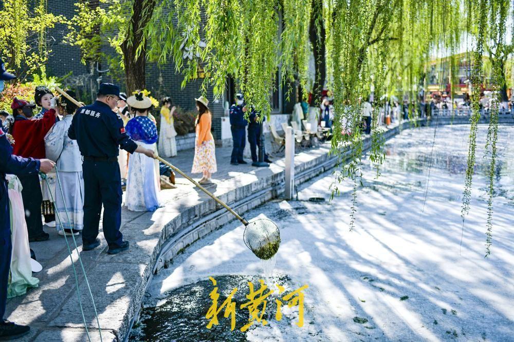 4月4日，随着气温逐步回升，漫天飞舞的杨柳絮“如约而至”。在明府城百花洲，柳絮伴