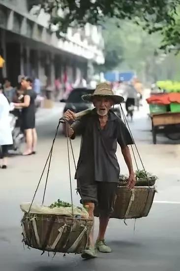 虞美人.寒冬将至

卧看窗外树影曳，风起不停歇
一年又将到年底，顿觉时光匆匆梦幻