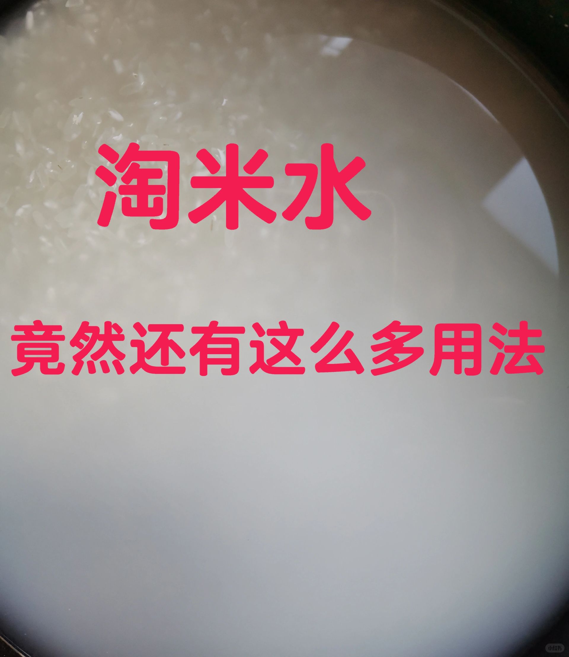 淘米水，竟然还有这么多用法