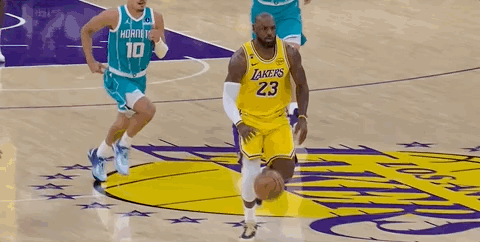 黄蜂挑战失败，詹姆斯执行罚球 黄蜂vs湖人